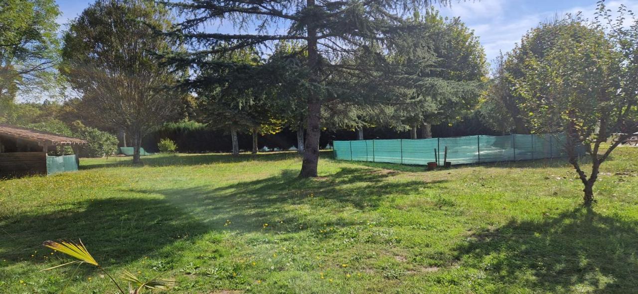Avec Piscine Et Billard